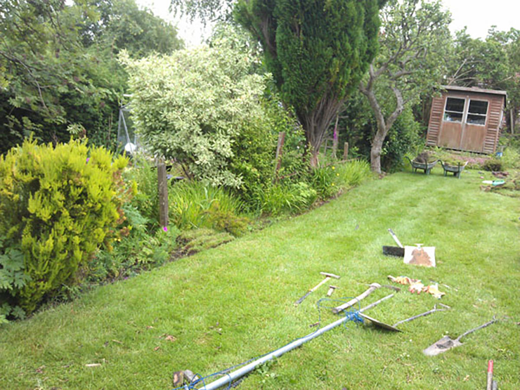 Fence and Beds
