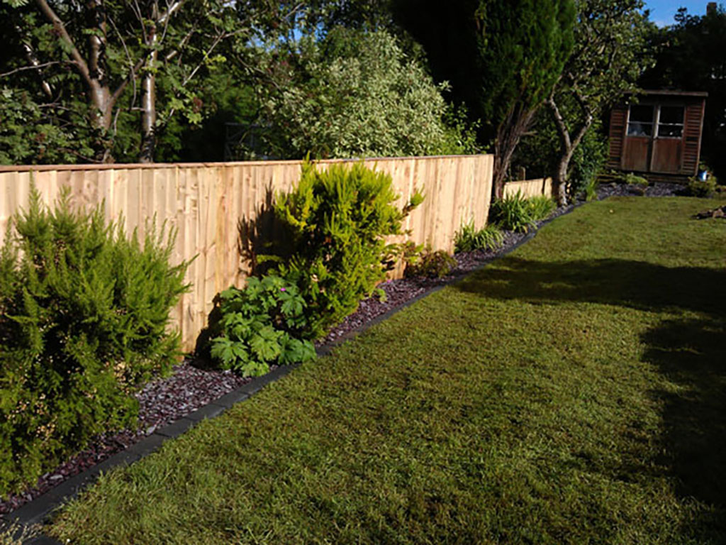 Fence and Beds