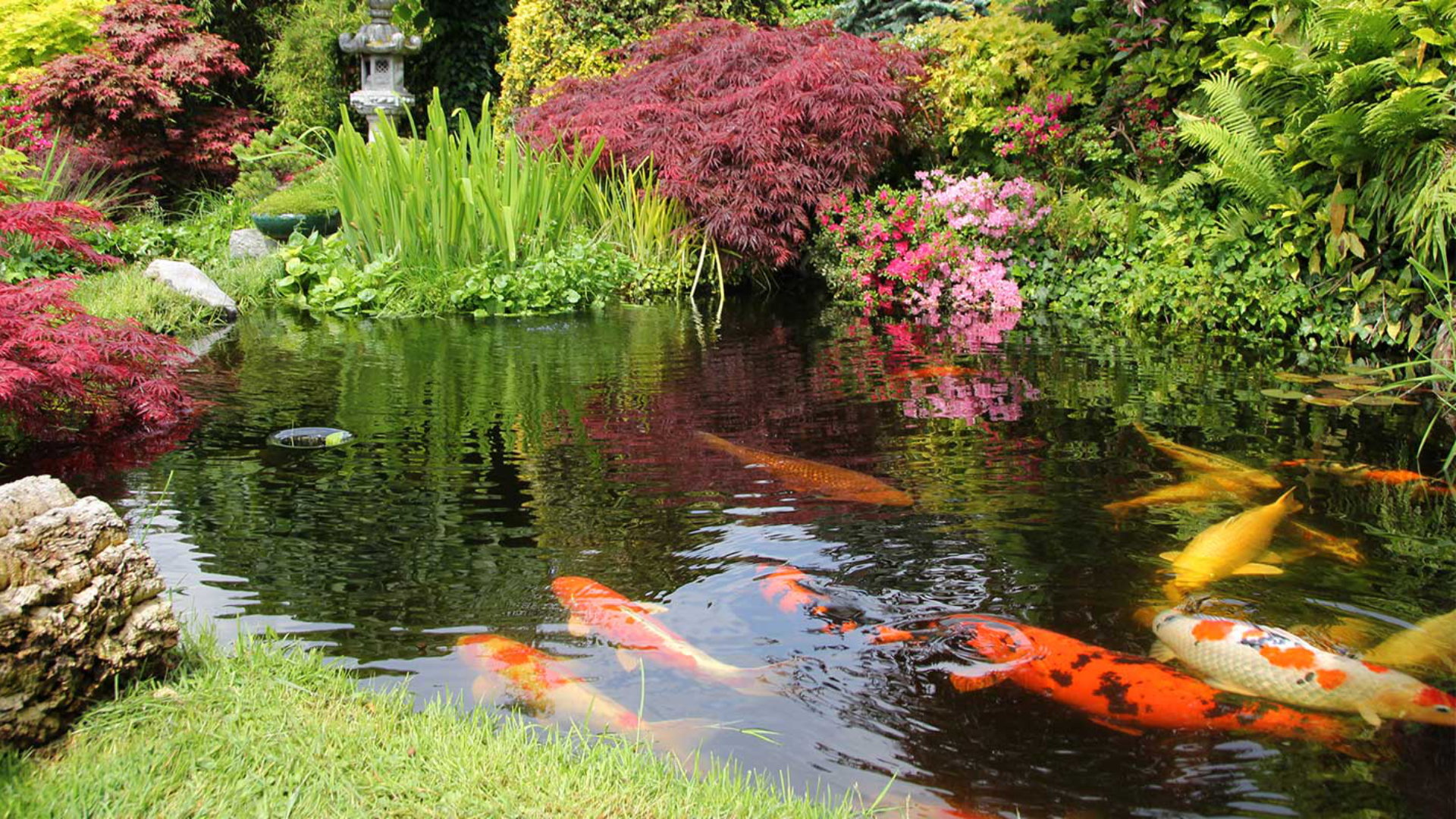 Garden Ponds