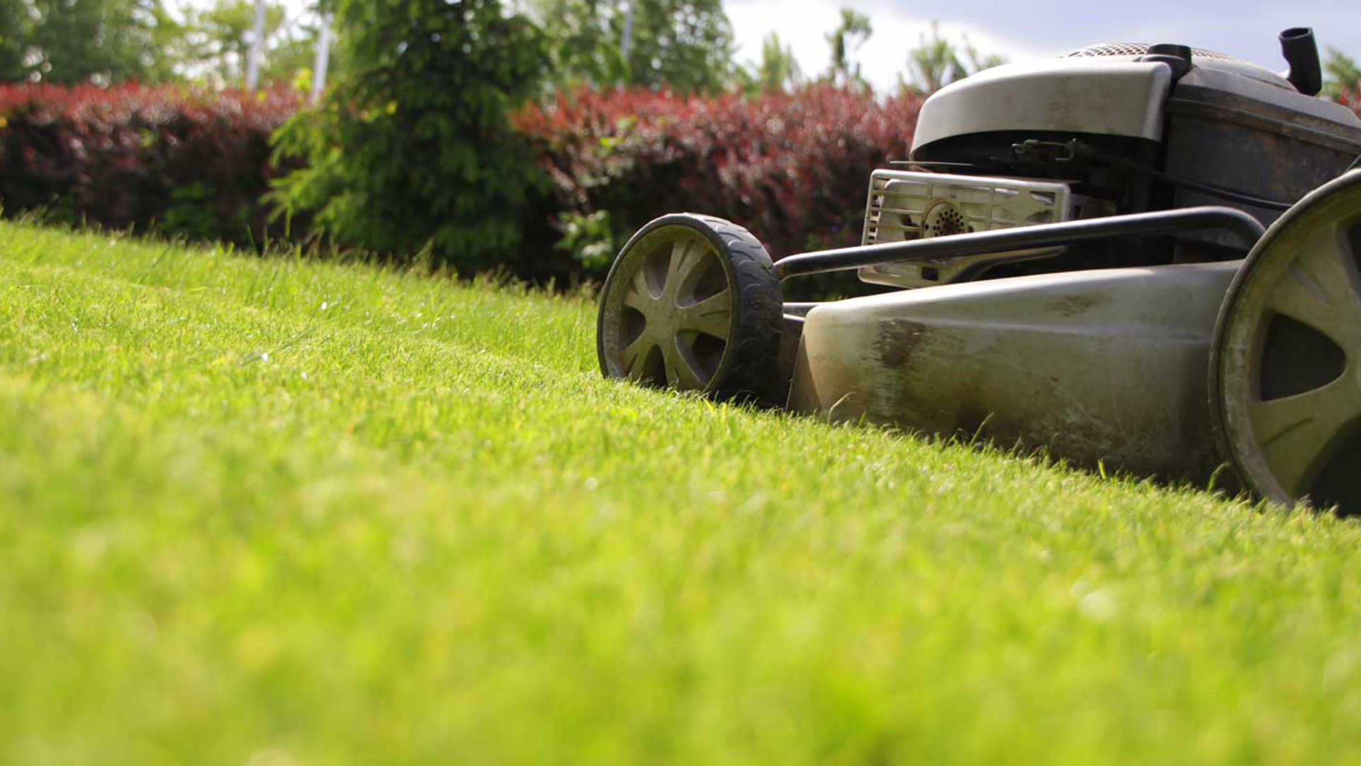 Mow Strips