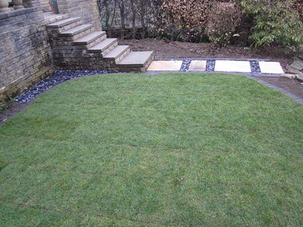 Path and Turf