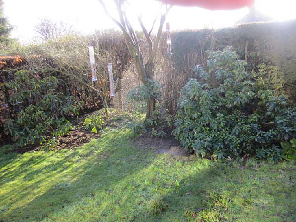 Path and Turf