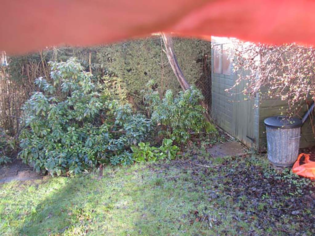 Path and Turf