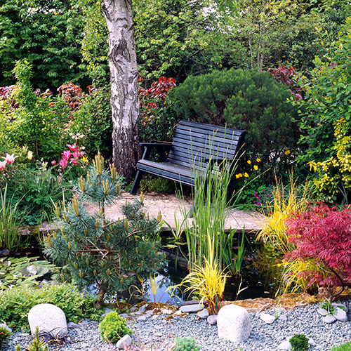 Pond Services Pond Services