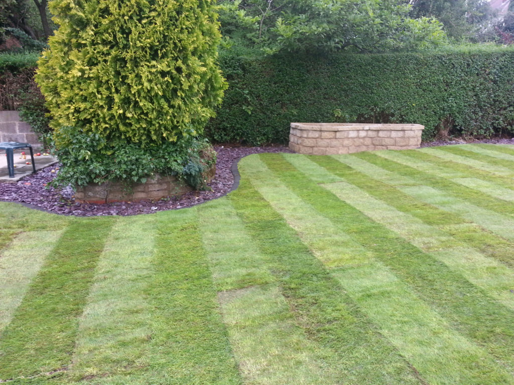 Scape Easy Mow Strips