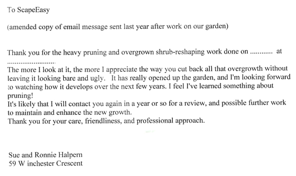 Scape Easy Testimonial Scape Easy Testimonial