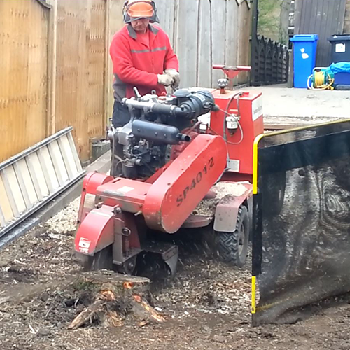 Stump Grinding and Removal Services Stump Grinding and Removal Services