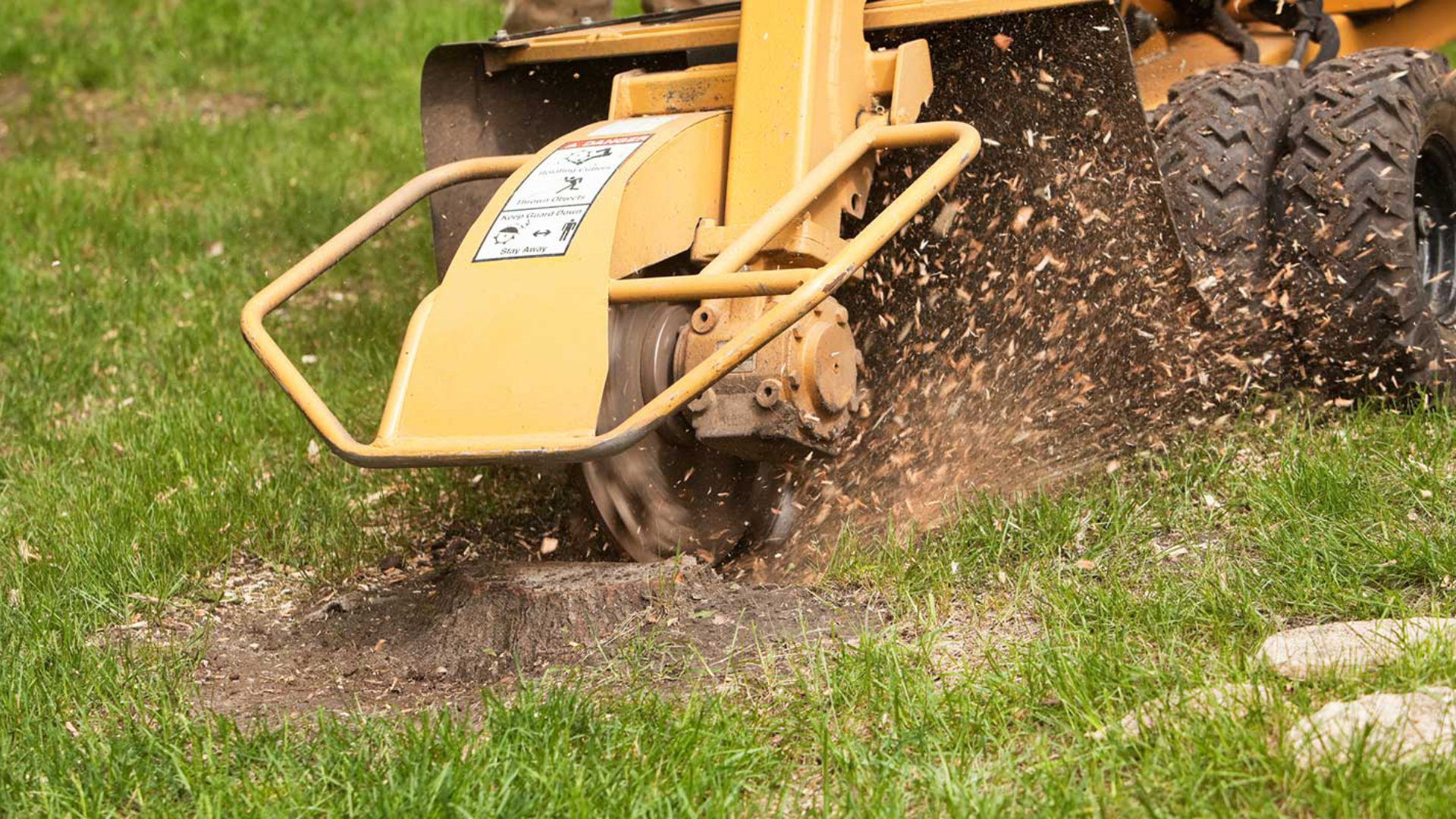 Stump Grinding