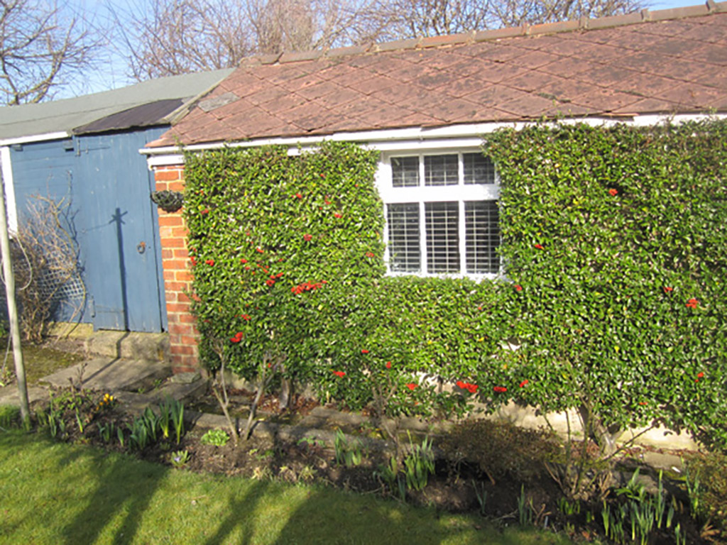 Suntrap Patio, New Driveway with Curved Edges