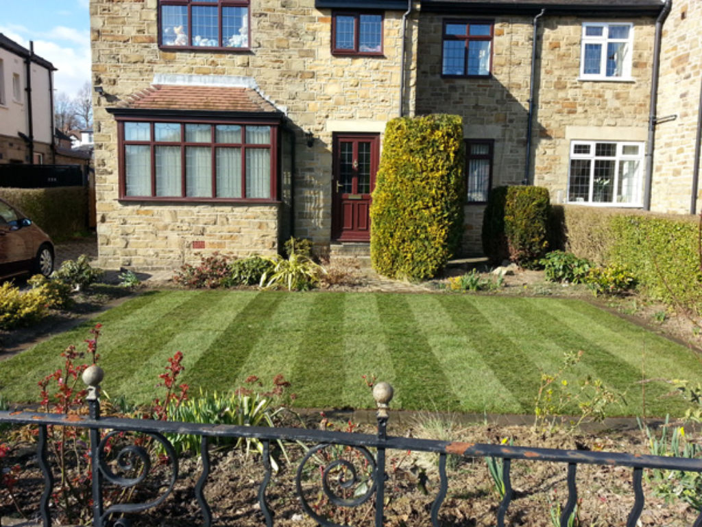 Turf With Stripes