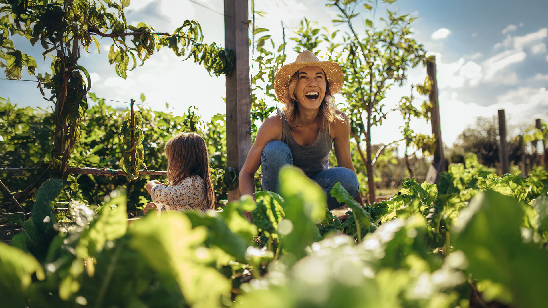 What jobs do Sheffield gardeners prioritise in July?