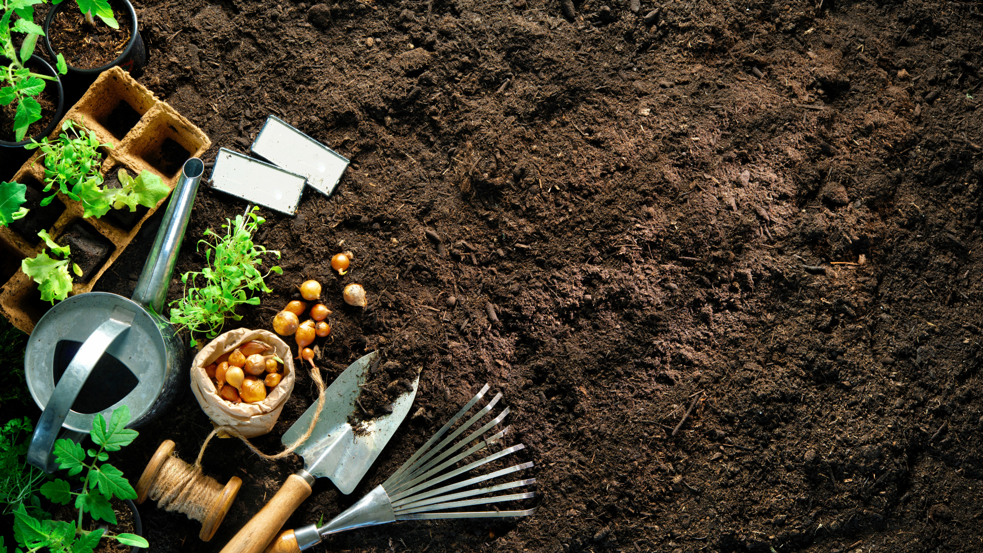 Local gardeners have local knowledge!