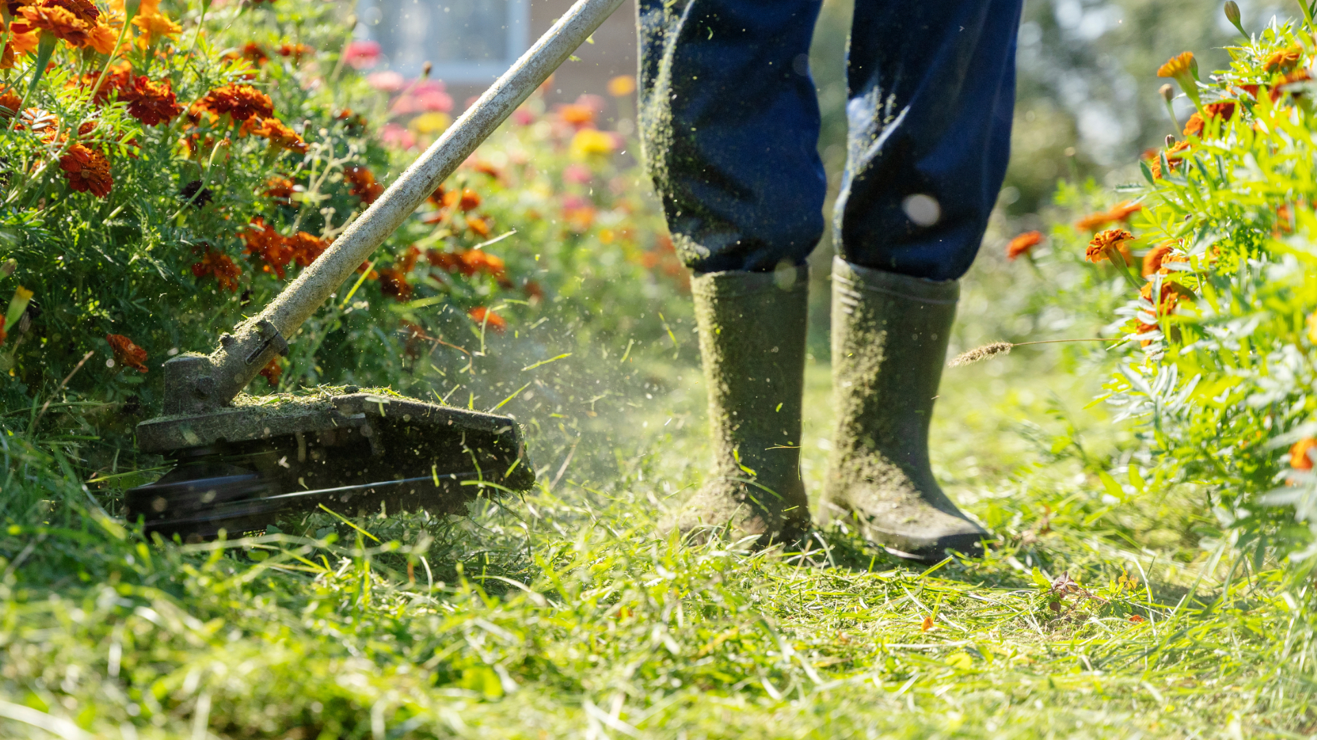 What to expect from a decent garden maintenance provider