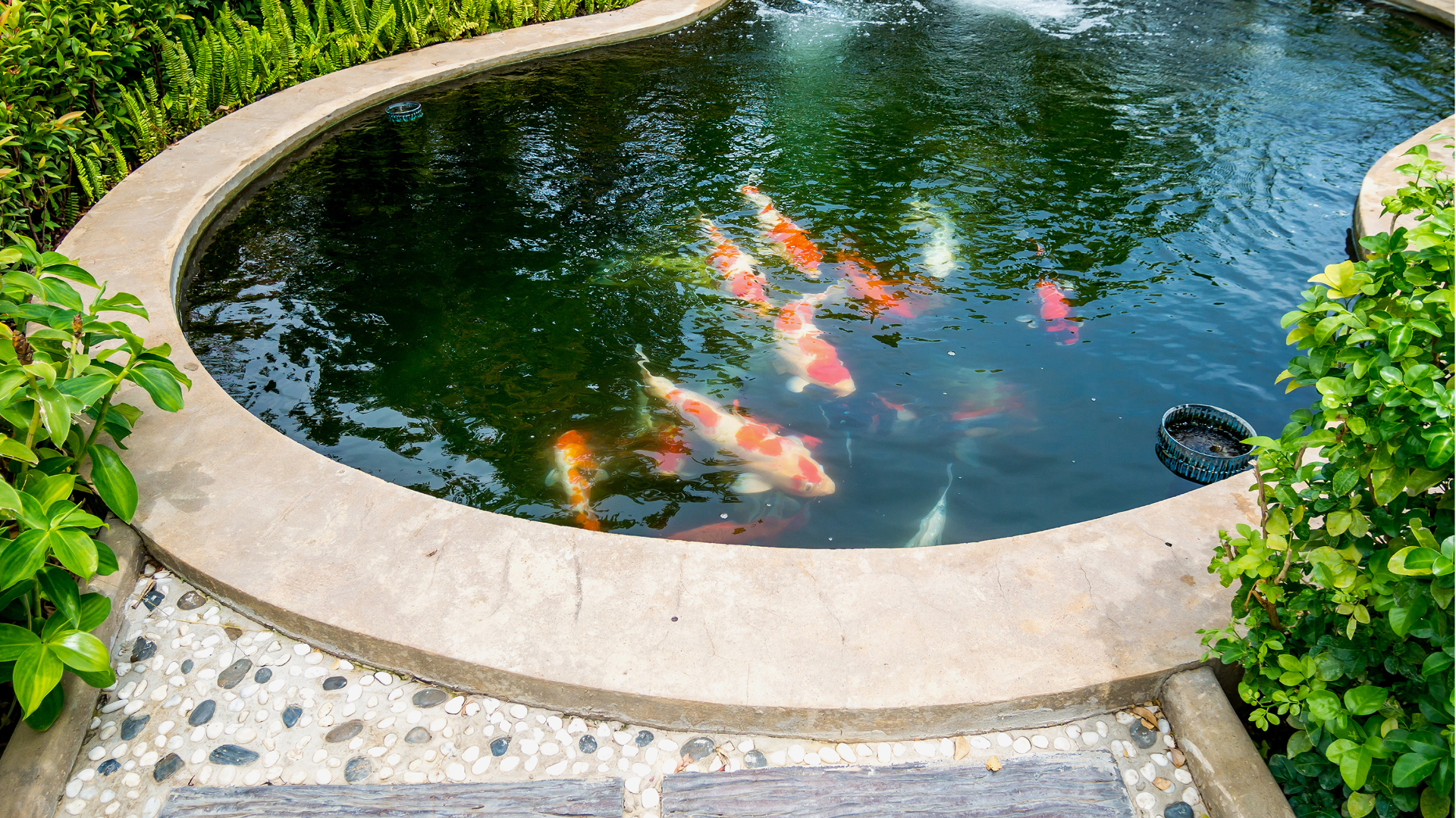 Garden pond installers in Sheffield