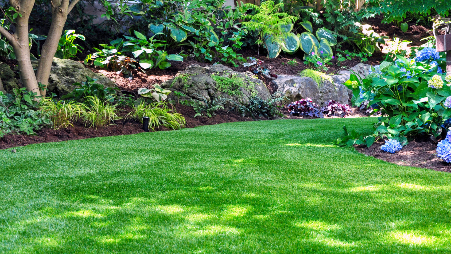 Scorched lawn? Bring back the green, with artificial grass