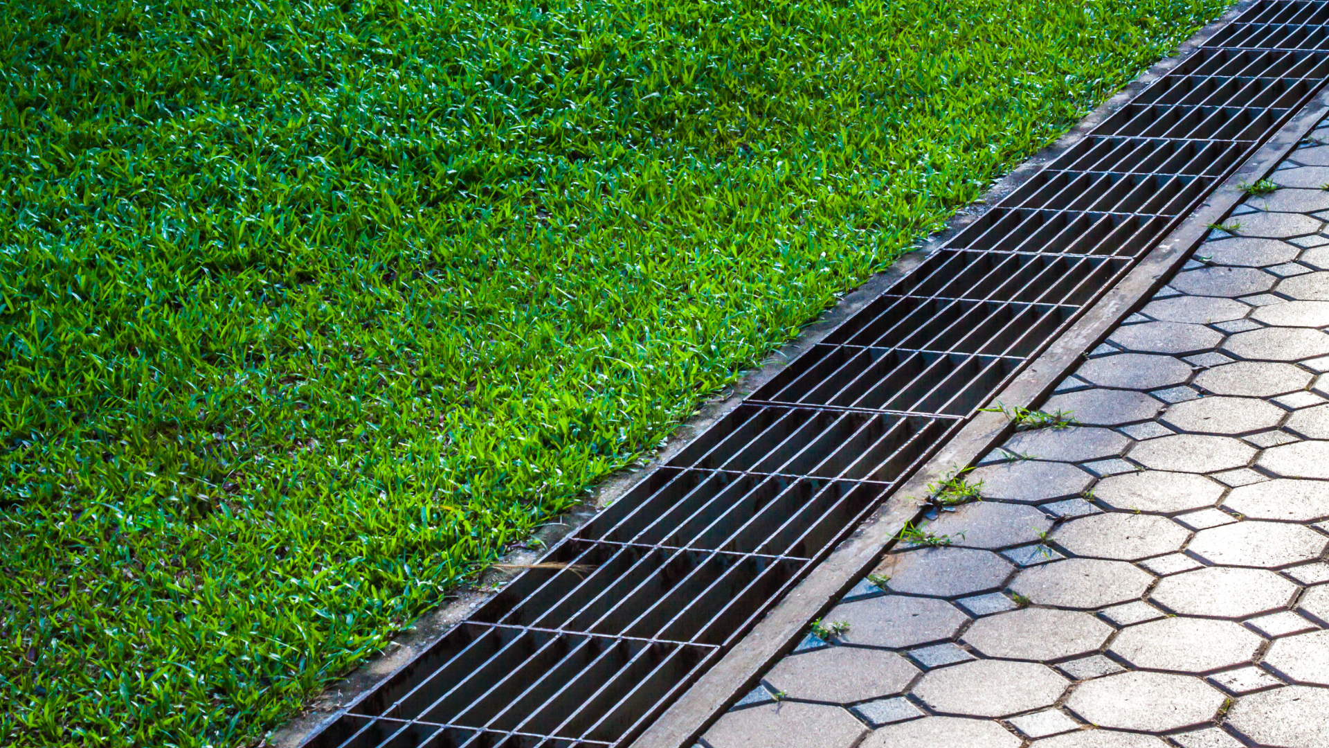 After the Heatwaves Comes the Deluge: Garden Drainage Done Properly