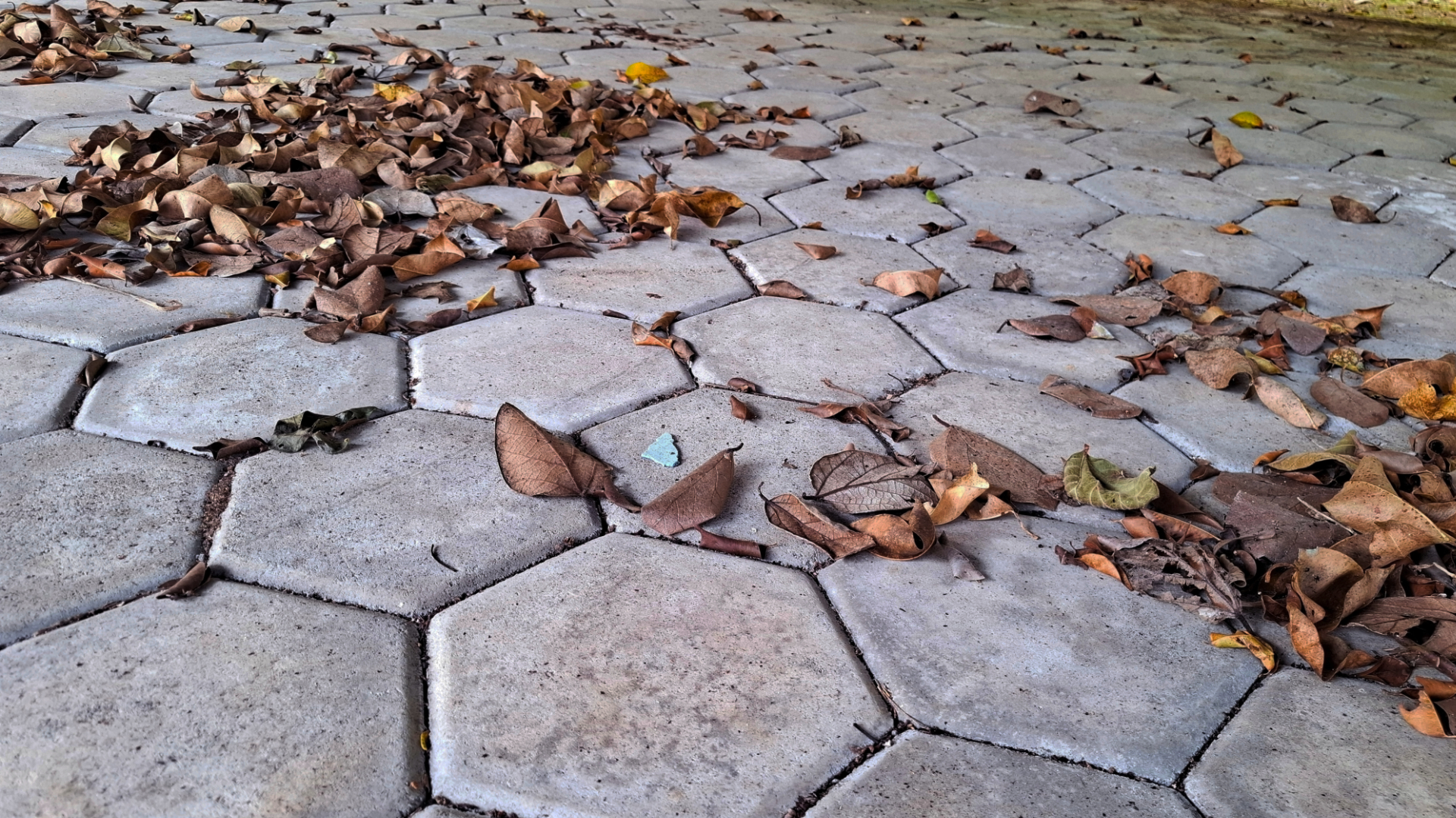 Autumn: time for paving care